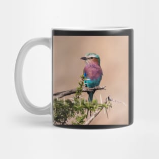 Lilac-Breasted Roller Mug